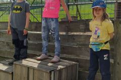 IMG_20220513_103955_1