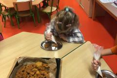 IMG-20210110-WA0020