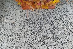 IMG_20211015_160156_1